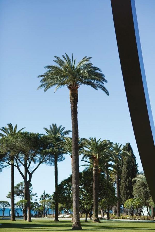 Angle Droit- Loft Charmant Et Atypique, Climatisation, Vieux-Nice Exterior photo